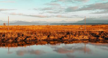 7 Ways to Stay Active in Richmond BC